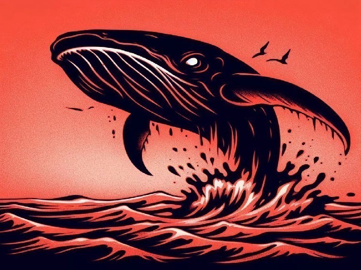 As Bitcoin Price Falls Below $94,000, Big Whales Are Doing This