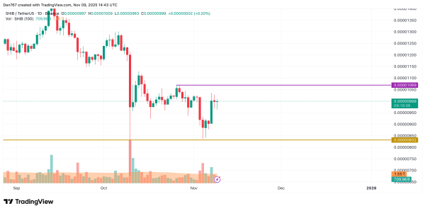 SHIB Price Analysis for November 9