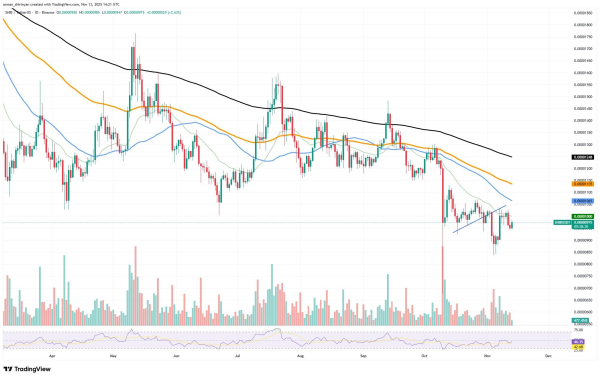 Crypto Market Prediction: Is Shiba Inu (SHIB) Bull Market Starting? XRP Downtrend Canceled on ETF Craze, Bitcoin (BTC) Loses $1.63 Billion, But Price Bounces