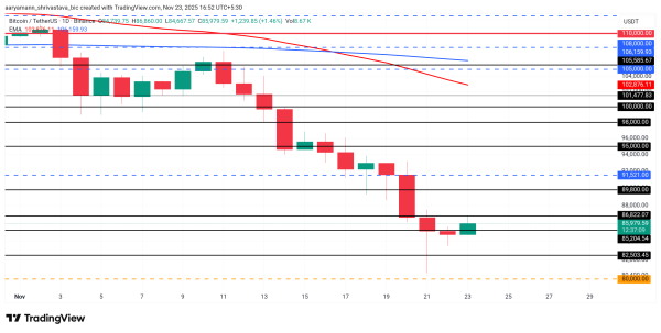Did Bitcoin Just Bottom Out? What the Data Says About a Rebound Did Bitcoin Just Bottom Out? What the Data Says About a Rebound