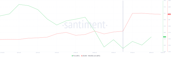 Bitcoin Whales Buy $32 Billion on the Dip as BTC Holds Above $100,000