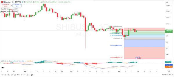 Shiba Inu Faces Crucial Test at $0.00000959 Support: What’s Next?