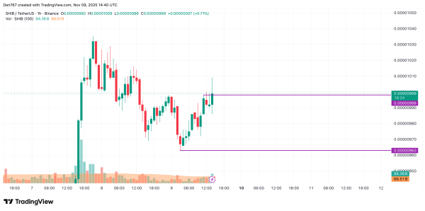 SHIB Price Analysis for November 9