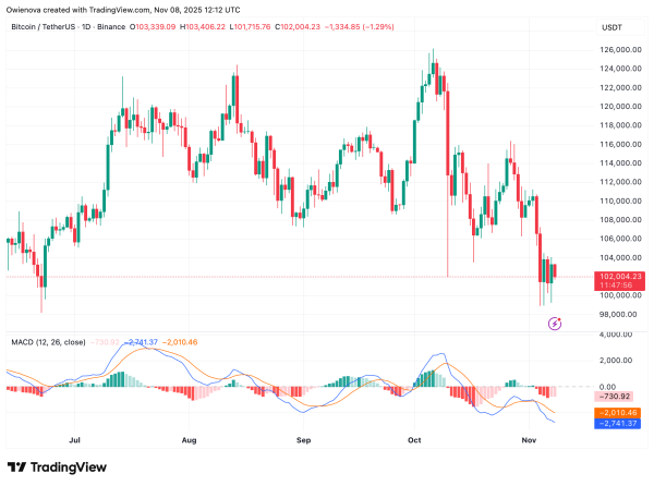 Bitcoin Bounces From $100,000 — Bullish Reversal Or Another Trap?